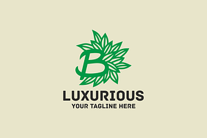 Luxury B Letter Logo