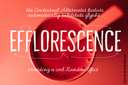 Bellfort Draw - 13 fonts, a Sans Serif Font by Leitmotif (Thumbnail 3 of 8)
