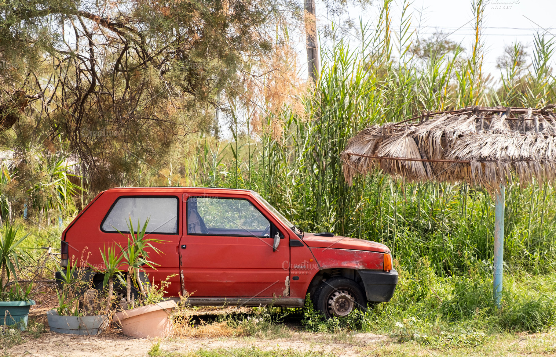 Old abandoned car in overgrown yard, a Transportation Photo by BOOCYS