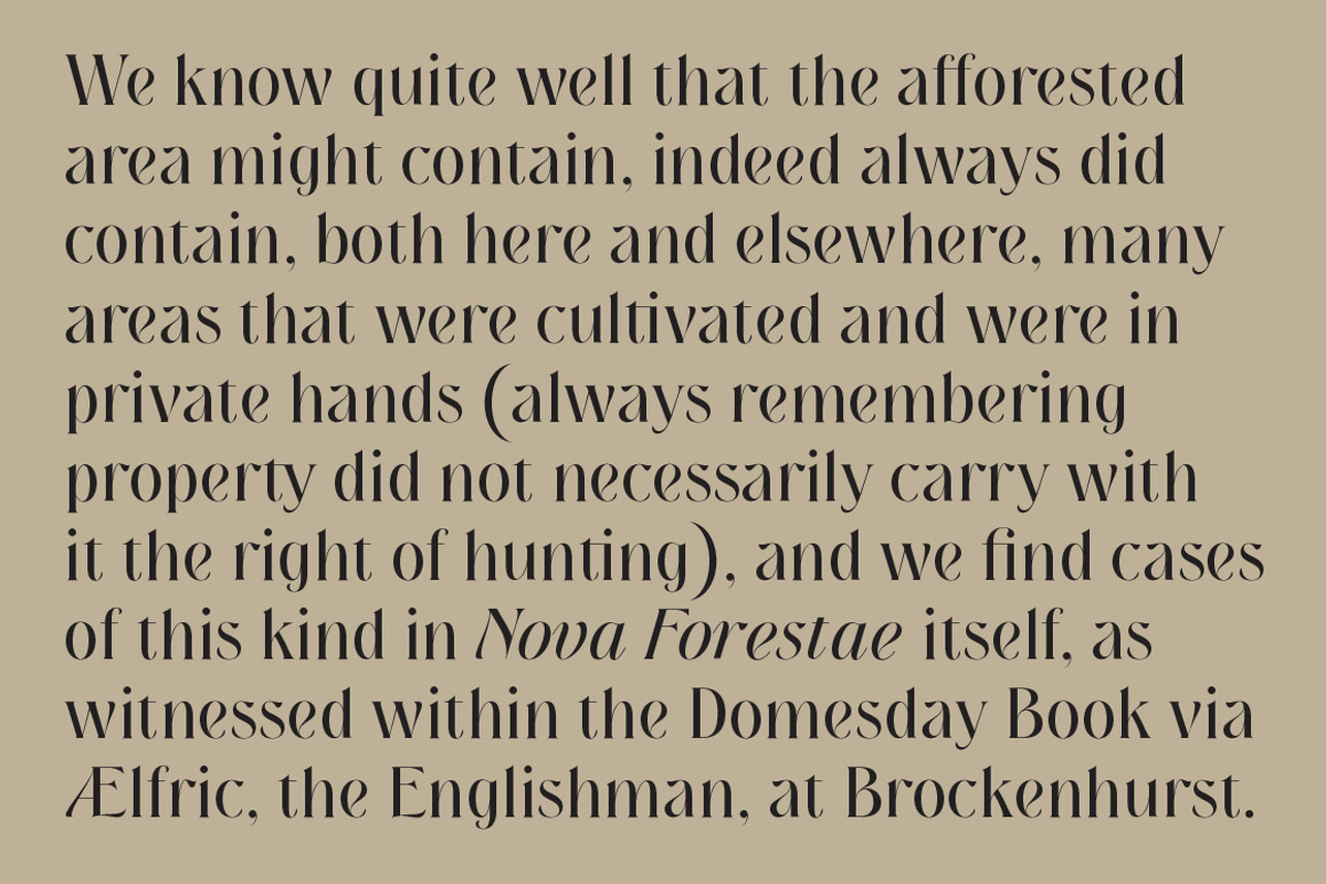 New Forest preview 6