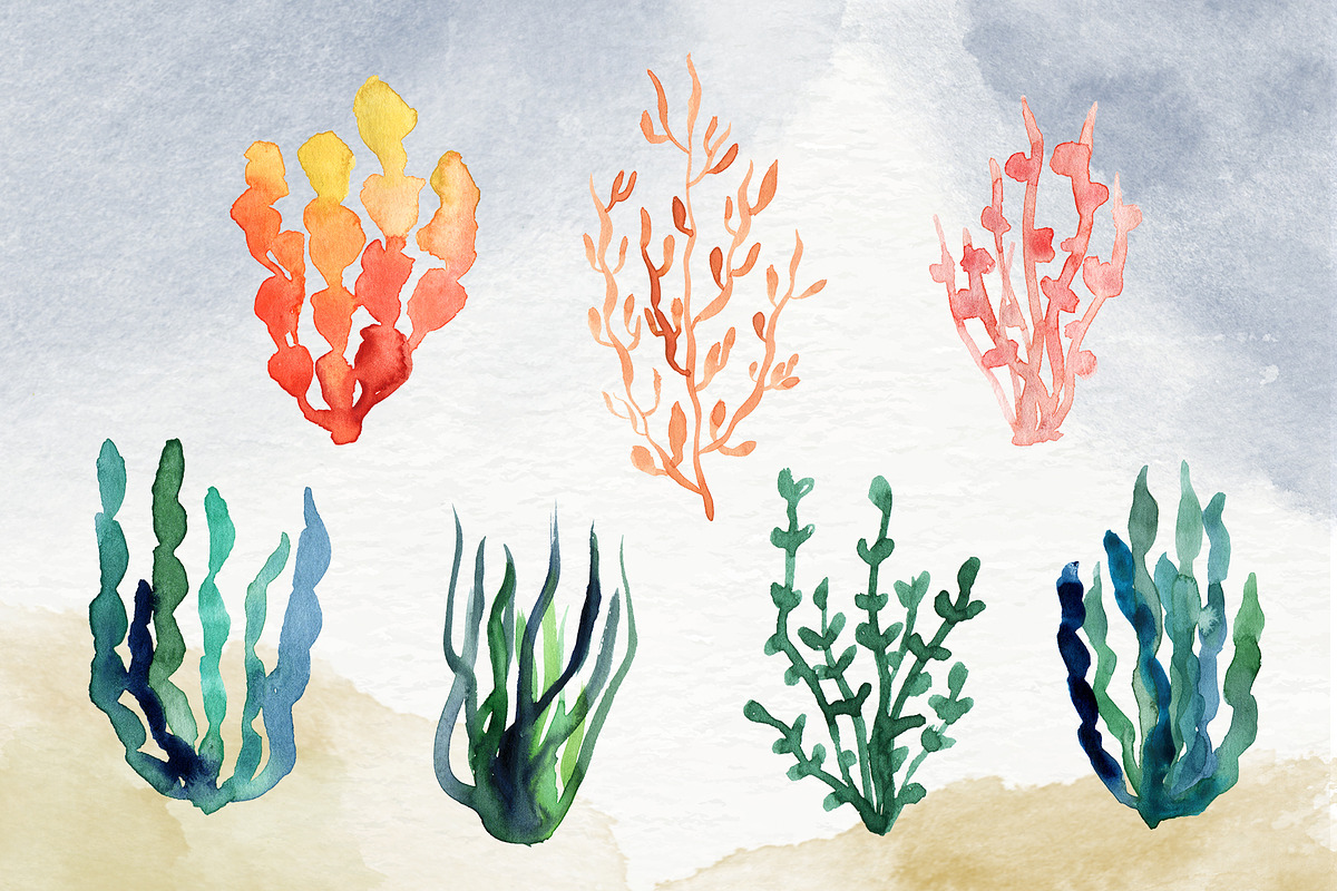 Beach Party Watercolor Set, a Texture Illustration by paperlions (Photo 4 of 6)