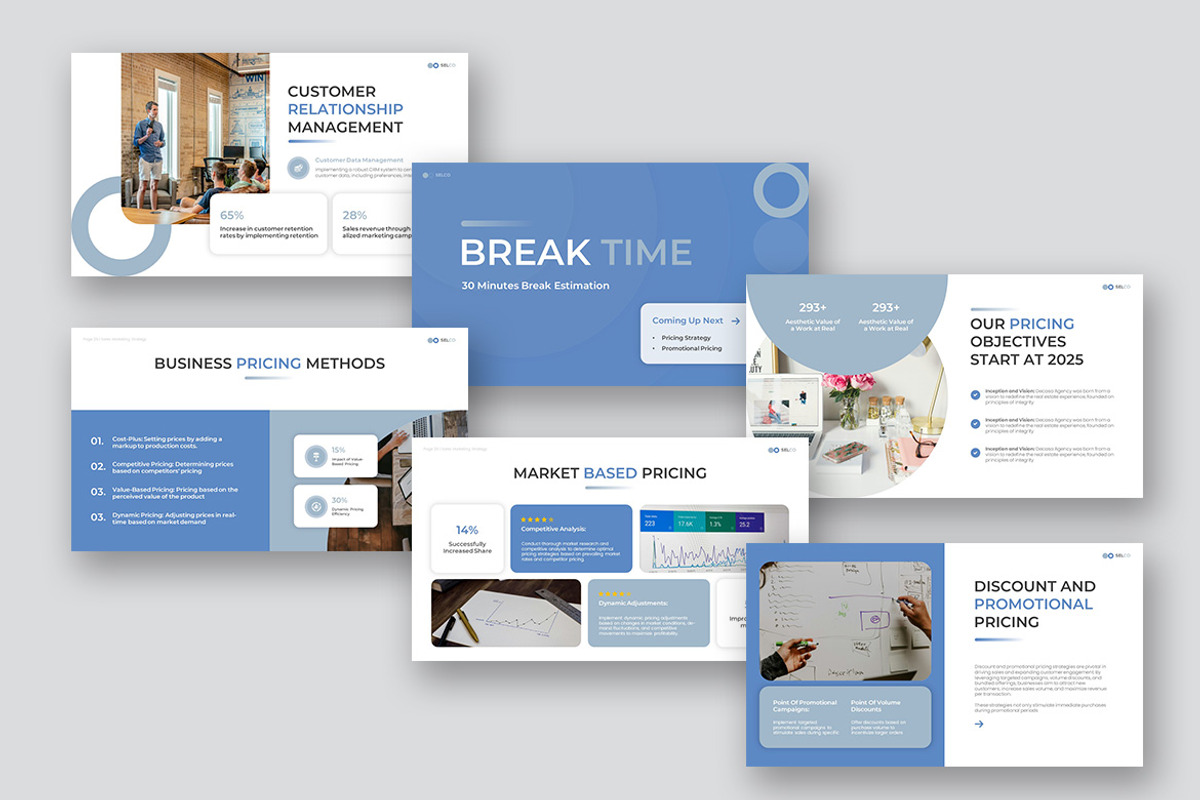 Selco Sales Marketing Startegy, a Presentation Template by kerismaker (Photo 6 of 10)