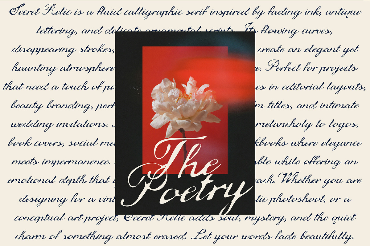 Secret Relic Archive Fading Script, a Script Font by Struvictory.art (Photo 6 of 9)