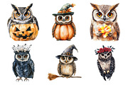 Watercolor Halloween Owl Clipart, an Illustration by Daily.Designs (Thumbnail 4 of 5)