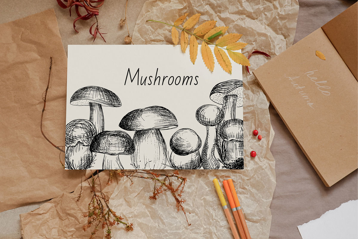 Set of Edble Hand Drawn Mushrooms, an Object Graphic by NataliArkushArt (Photo 2 of 4)