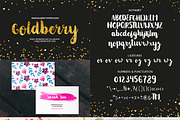Handwritten Font Bundle super sale!, a Handwritten Font by BilberryCreates (Thumbnail 6 of 22)
