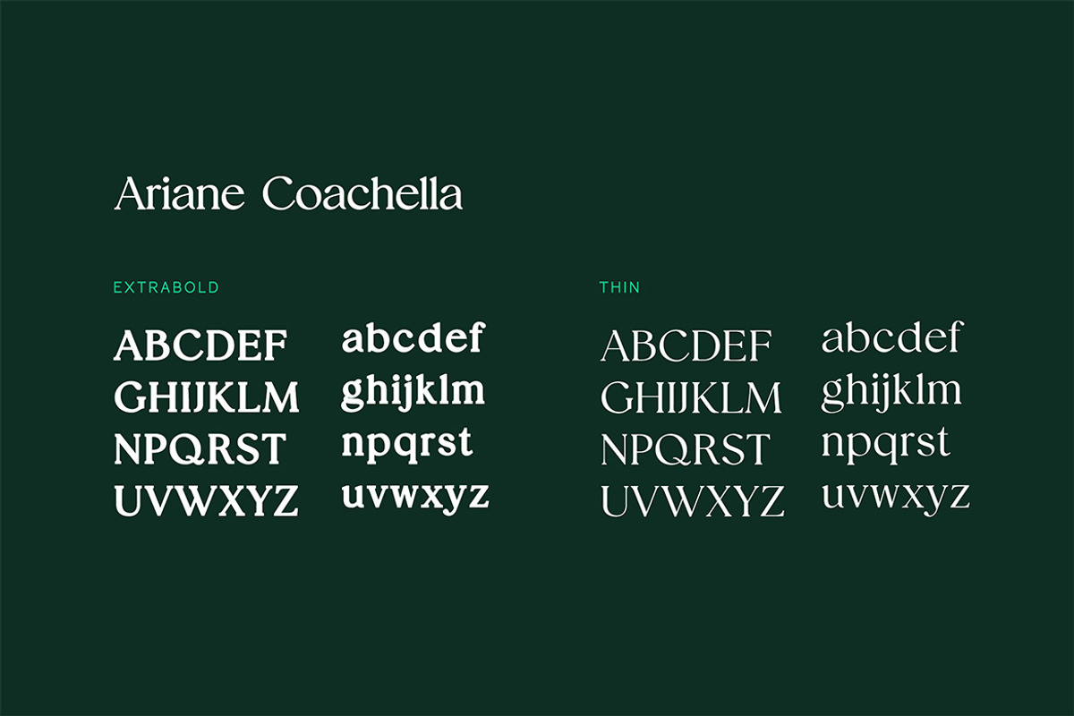 Ariane Coachella Elegant Serif Font, a Serif Font by UICreative (Photo 12 of 13)