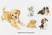 15 Bundle Watercolor Cute Dog Fluffy, an Animal Illustration by Morspective (Thumbnail 6 of 8)