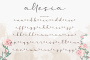 Allesia, a Script Font by AEN Creative Studio (Thumbnail 11 of 12)