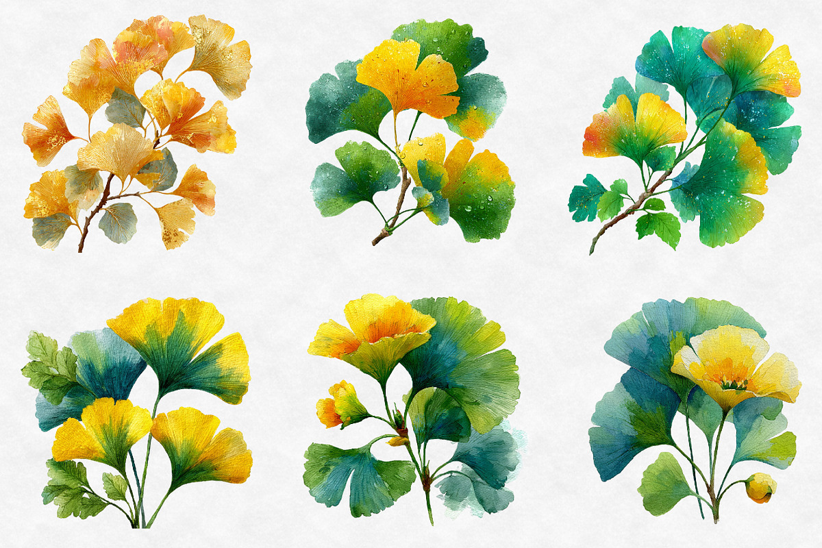 Watercolor Ginkgo Clipart, an Illustration by Designworld (Photo 4 of 6)