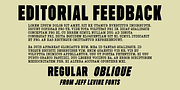 Editorial Feedback JNL, a Sans Serif Font by Jeff Levine Fonts (Thumbnail 1 of 5)
