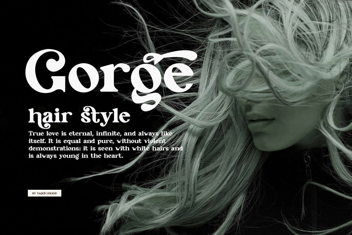 SEHON LIGATURE SERIF TYPEFRACE, a Serif Font by yaqublekker (Photo 7 of 10)