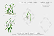 Snowdrop Birth Month Flower Clipart, an Illustration by Ksenia Shmakova (Thumbnail 6 of 9)