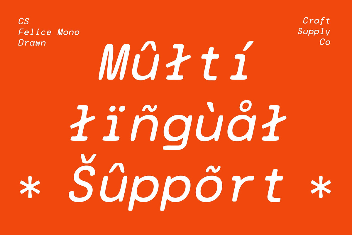 CS Felice Mono Drawn, a Sans Serif Font by Craft Supply Co. (Photo 7 of 8)