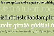 SomaSlab, a Slab Serif Font by ArtyType (Thumbnail 5 of 5)