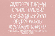 Library Card Hand Lettered Font, a Sans Serif Font by Dansie Design (Thumbnail 7 of 7)