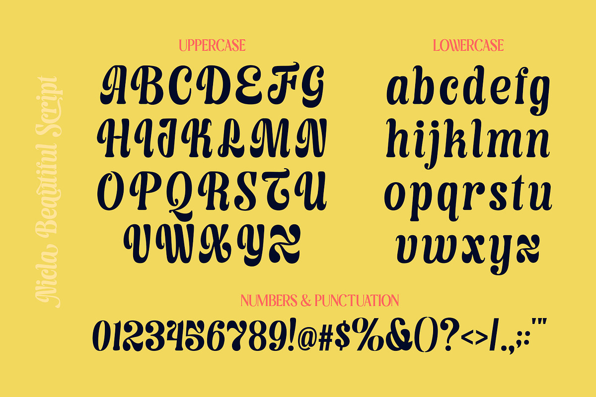 Nicla - Beautiful Script Family, a Script Font by madeDeduk (Photo 4 of 15)