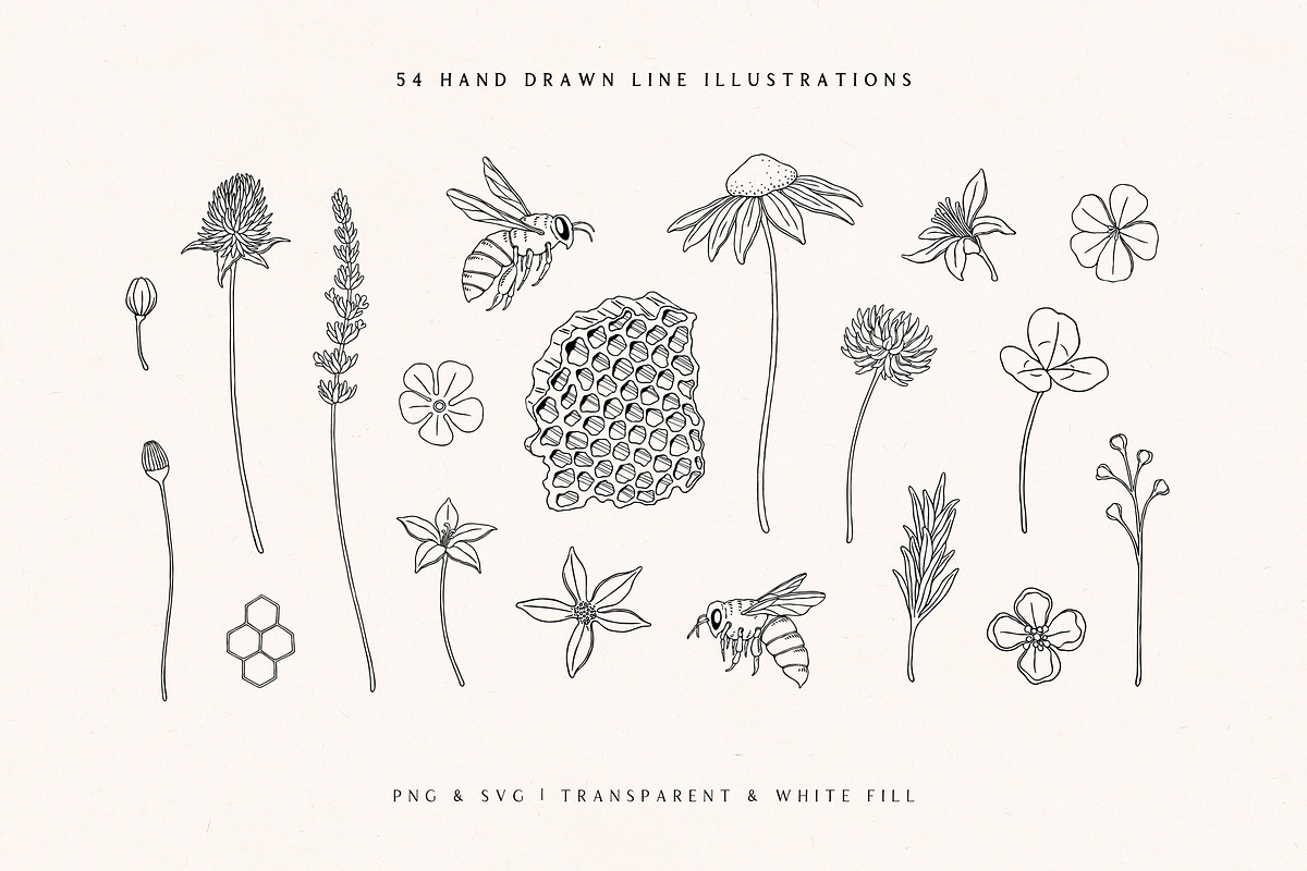 Wild Honey Vector Illustrations, a Decorative Illustration by rouxsupplyco (Photo 4 of 14)