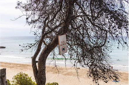 Fantastic view on the sea on the, a Nature Photo by Illustrations&photos