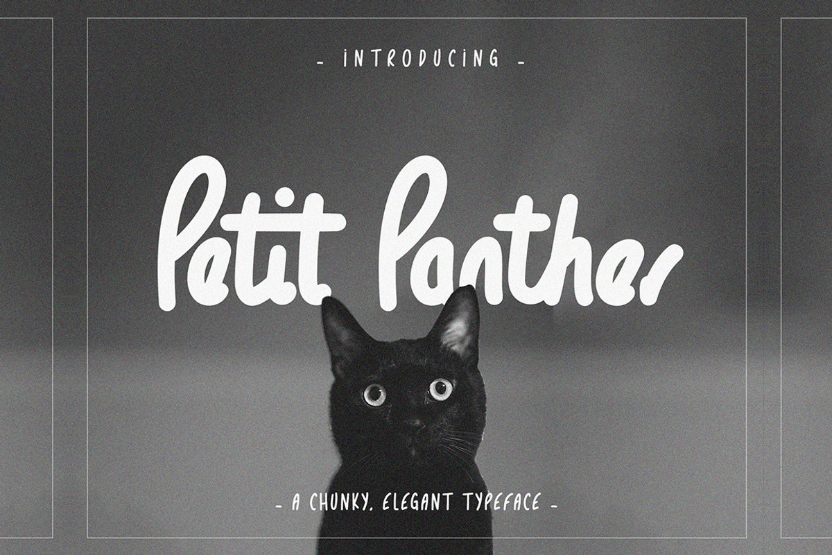 Petit Panther typeface - handwritten