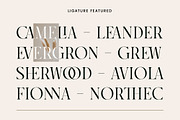 Rosegold House - Modern Font Duo, a Serif Font by TropicalSunlightCo. (Thumbnail 12 of 13)
