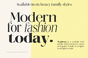 Megilona, a Serif Font by Black Studio (Thumbnail 2 of 17)