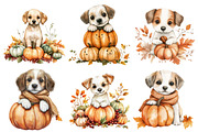 Cute Autumn Dog Sublimation Clipart, an Illustration by CitraGraphics (Thumbnail 3 of 7)
