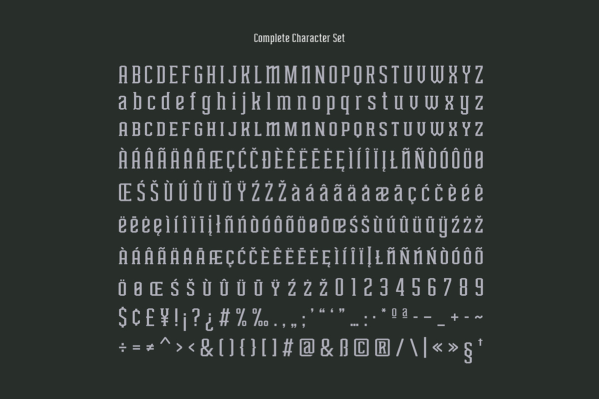 T415 Barbell, a Slab Serif Font by Type415™ (Photo 6 of 6)