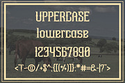 Aidah, a Slab Serif Font by Arterfak Project (Thumbnail 3 of 6)