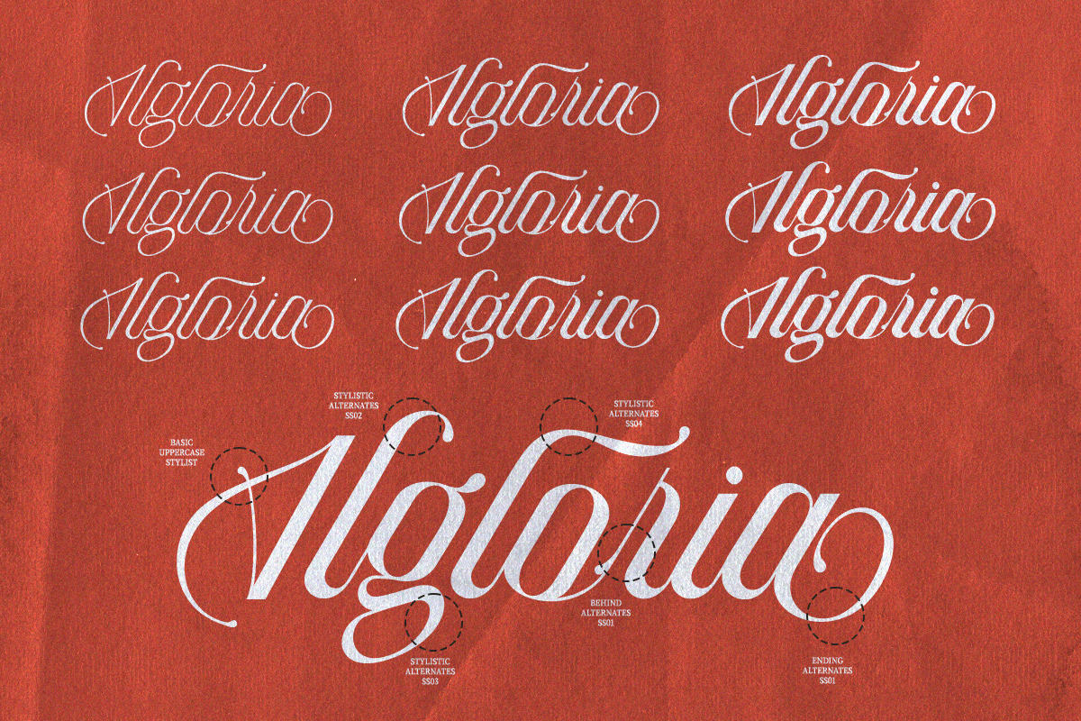 Algloria Script Variable Pro, a Script Font by Letter Fresh (Photo 8 of 15)