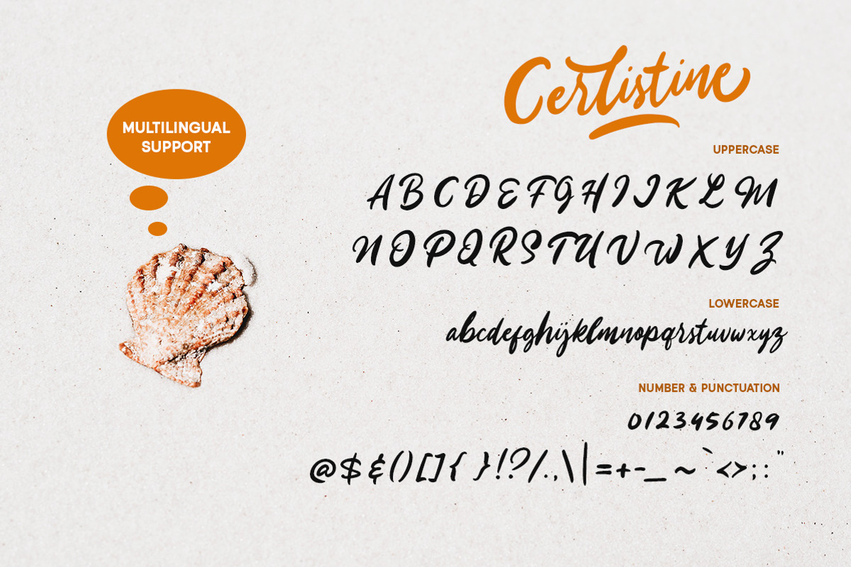 Cerlistine - Handwritten Script, a Script Font by Letterhend Studio (Photo 9 of 9)