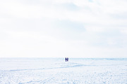 Winter Stock Photos Pack, a Nature Photo by NViolet (Thumbnail 5 of 5)