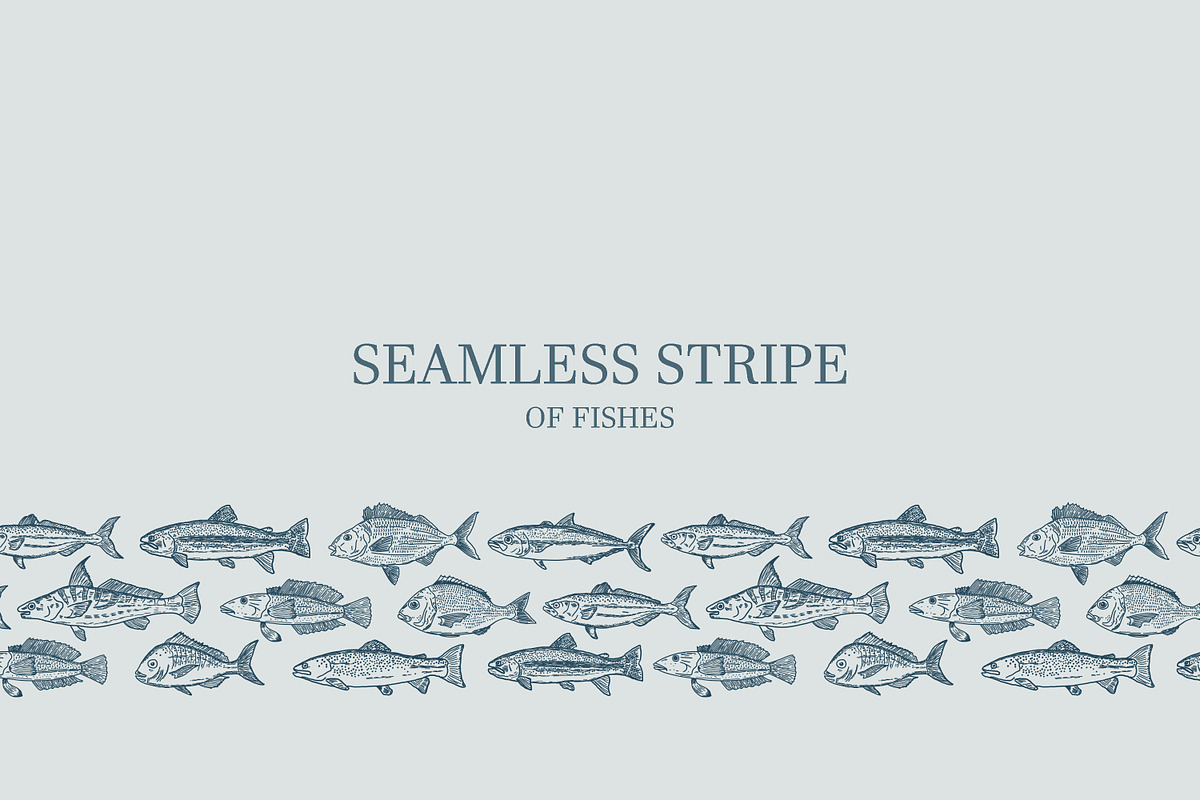 Hand drawn vectors of saltwater fish, an Animal Illustration by Naty Art (Photo 2 of 11)
