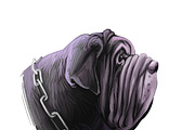 Mastiffs and Pugs 34 PSD Dogs Set, an Animal Illustration by Dneprstock (Thumbnail 4 of 15)