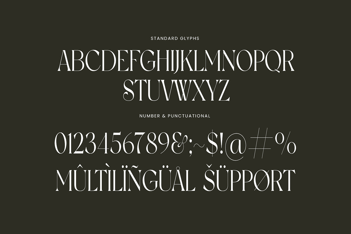 Jasmine Elegant & Minimalist Serif, a Serif Font by Perfectype (Photo 7 of 7)