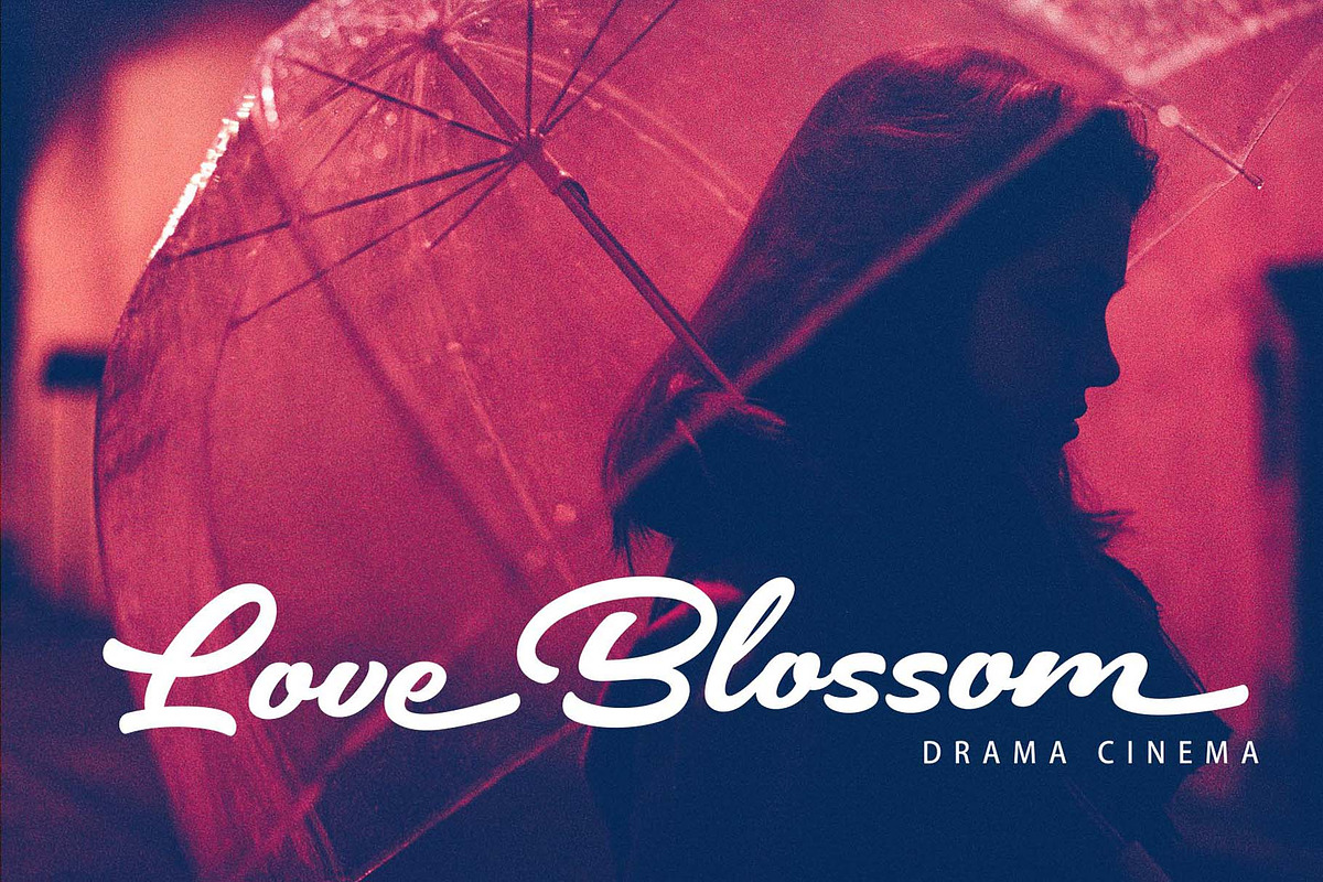 Brickell – Modern Calligraphy Font, a Script Font by HanzelSpace Studio (Photo 3 of 8)