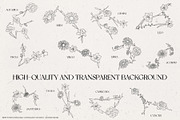 Birth Month Zodiac Constellations, an Illustration by IllustratorAnnie (Thumbnail 5 of 5)