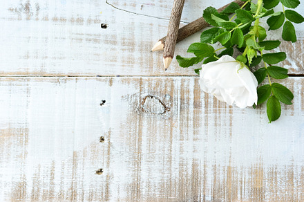 Organic writing 7 stock photo containing alternative and aroma, a Nature Photo by Coral Antler