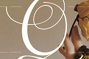 Menasha Brown New Hybrid Typeface, a Serif Font by Storytype Studio (Thumbnail 7 of 15)