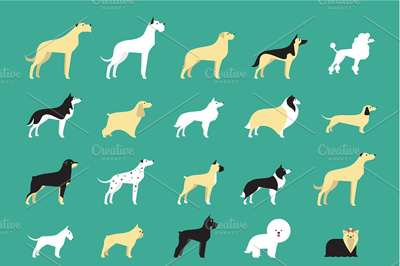 20 Dog Icons