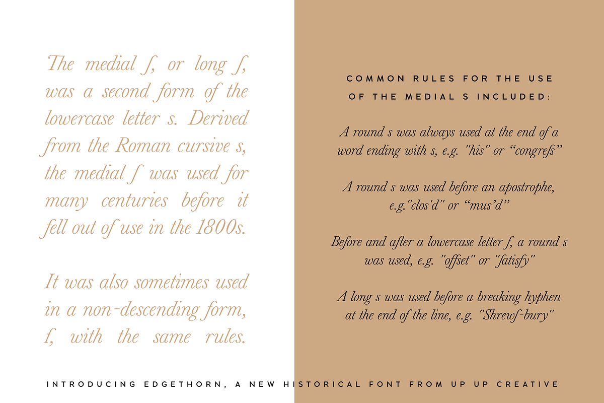 Edgethorn Italic Serif Font, a Serif Font by Up Up Creative (Photo 8 of 17)