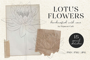 Lotus Blooms & Floral Arrangements, an Illustration by Pigment Café