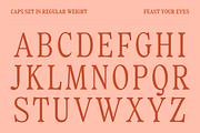 Fiyona Retro Variable Font, a Serif Font by That That Creative (Thumbnail 4 of 24)