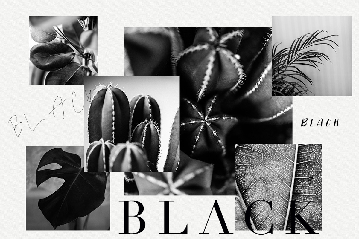 15 Green plant Insta photos, a Product Mockup by Nellaino (Photo 7 of 7)