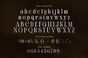 Galina Elegant Serif Font, a Serif Font by Elegant Font (Thumbnail 7 of 8)