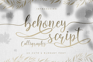 behoney Modern Script Font