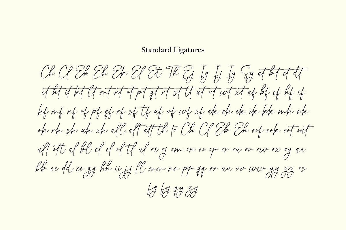 Handsome Lasting Script, a Script Font by moriztype (Photo 11 of 14)