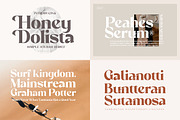 The Premium Creation Font Bundle, a Serif Font by Megatype (Thumbnail 11 of 56)
