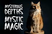 Softly Darkish Typeface, a Handwritten Font by Seemly Fonts (Thumbnail 3 of 5)