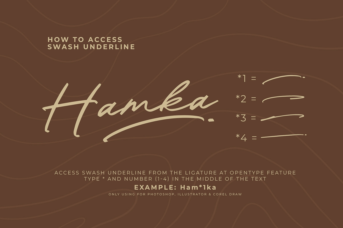 Cashrole Script, a Script Font by khurasan (Photo 6 of 7)
